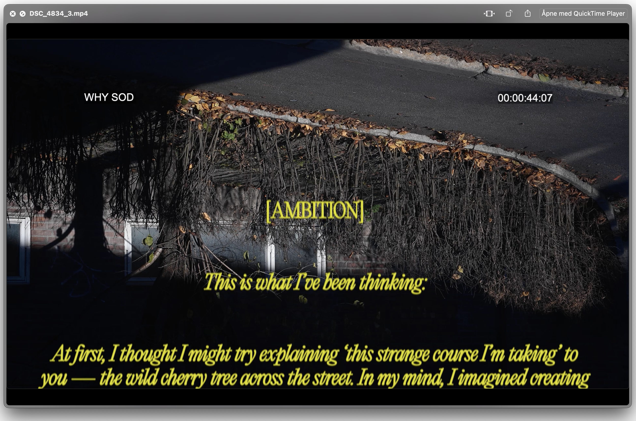 this strange course I'm taking